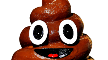 Man Earns $30k A Year Scooping Dog Poop