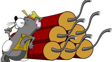 Lawn Ornament Turns Out To Be Live Bomb