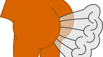 Scientists Say Smelling Your Farts Reduces Your Risk Of Alzheimer's Disease