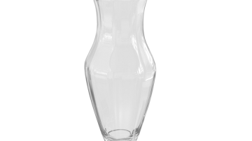 Doctors Remove Glass Vase From Man's Bowel After Sex Act Gone Wrong