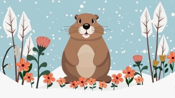 NOAA Has Ranked The Groundhogs By How Accurately They Predict Spring