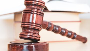 China Auctions Off 100-Tons Of Live Crocodiles