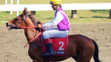 Kentucky Derby Predictions And Picks