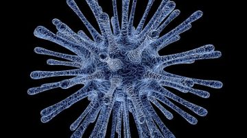 Scientists Say They've Created A New Form Of Life