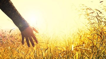 Man Almost Loses His Arm After Thief Bites His Hand