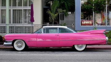 Woman Refuses To Pay Fine For Transporting A Pony In The Back Seat Of Her Car