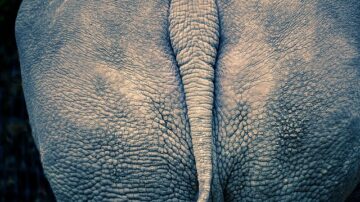 Japanese Aquarium Lets Visitors Smell Animal Butts