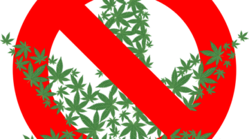 What Happens To Your Body And Mind When You Quit Weed