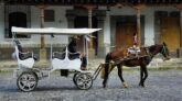 Sicily Police Investigating Horse-Drawn-Carriage Races Where The Racers Fired Pistols And Waved Kalashnikov Rifles