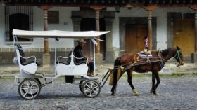 Sicily Police Investigating Horse-Drawn-Carriage Races Where The Racers Fired Pistols And Waved Kalashnikov Rifles