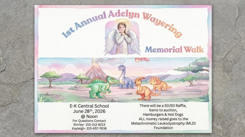 Join Blind Andy @ 1st Annual Adelyn Wayering Memorial Walk